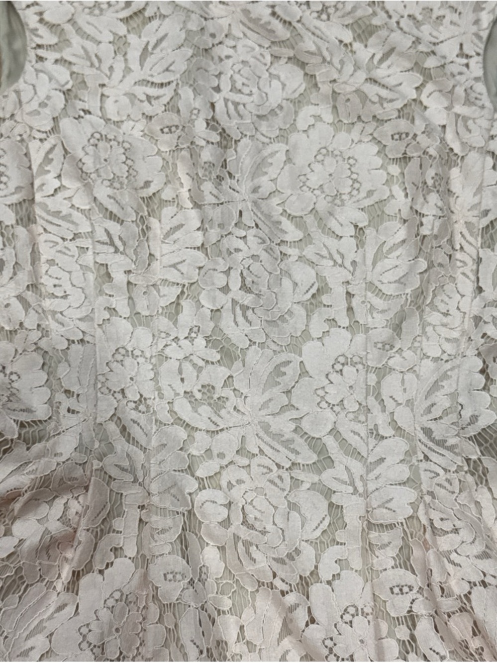 Vince Camuto Floral Lace fit and flare Mini Dress in Light Pink and Cream - Picture 6 of 9